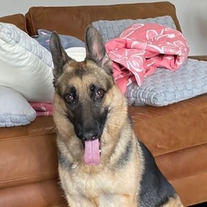 Meet your Posher, Joanne